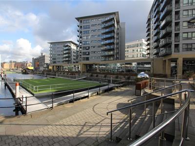 Picture 8